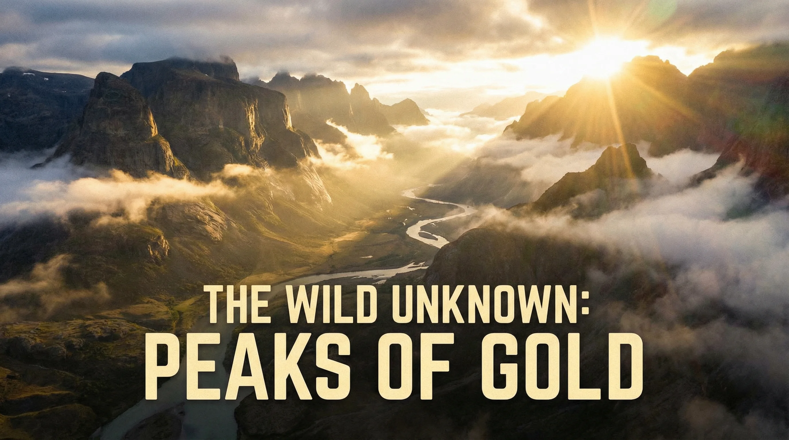 女神视频四虎影院特色内容